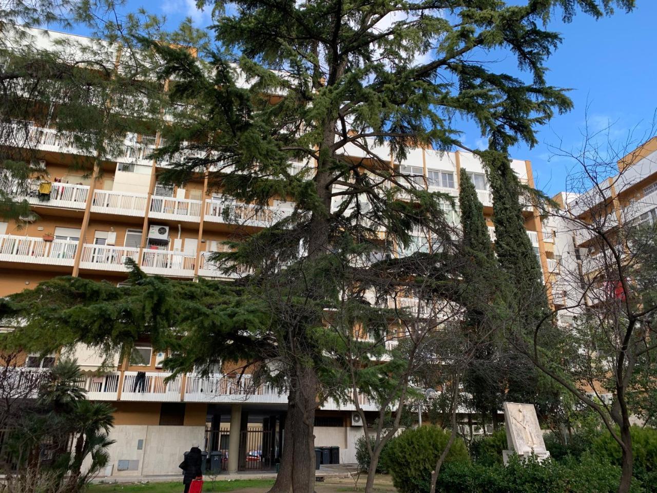Agora B&B Urban Relais Canosa di Puglia Zewnętrze zdjęcie